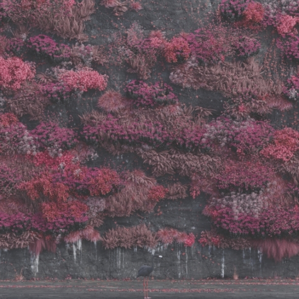 Sleep Token: Even In Arcadia (Black Vinyl) - Plak Foto #1