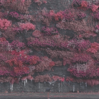 Sleep Token: Even In Arcadia (Black Vinyl) - Plak