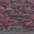 Sleep Token: Even In Arcadia (Black Vinyl) - Plak Foto #1