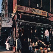 Beastie Boys: Paul's Boutique (30th Anniversary Edition) - Plak