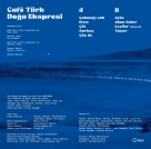 Cafe Türk: Doğu Ekspresi - Plak Foto #2