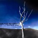 Bahara Çağrı - CD
