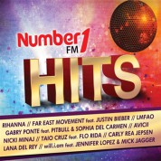 Çeşitli Sanatçılar: Number 1 Hits - CD