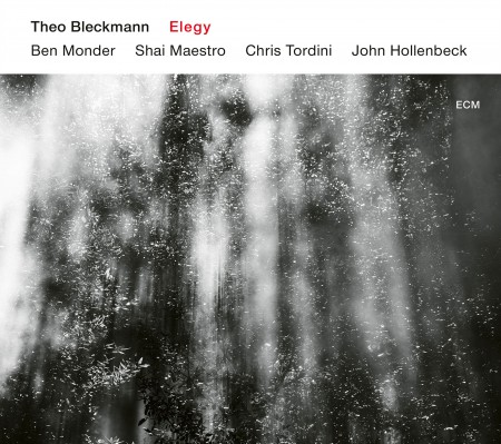 Theo Bleckmann: Elegy - CD