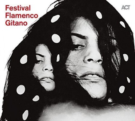 Festival Flamenco Gitano - CD