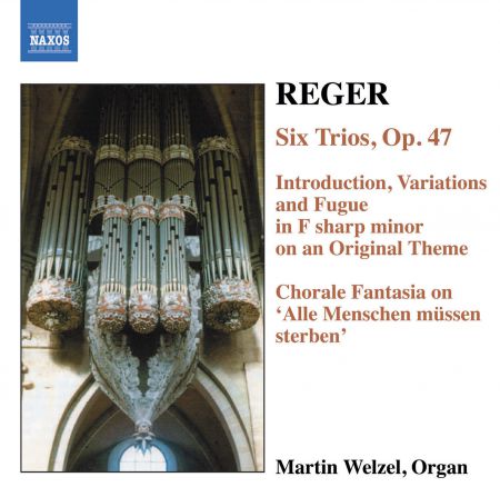 Martin Welzel: Reger, M.: Organ Works, Vol.  6 - CD