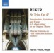 Reger, M.: Organ Works, Vol.  6 - CD