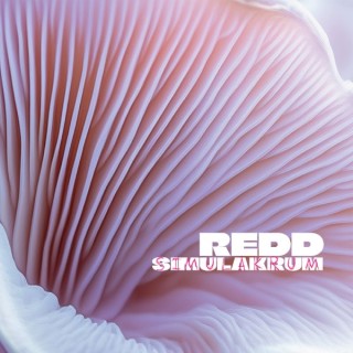 Redd: Simulakrum - Plak
