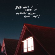 The Amazons: How Will I Know If Heaven Will Find Me? (Limited Edition) - Plak