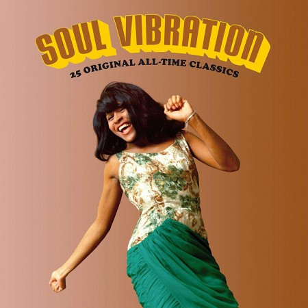 Çeşitli Sanatçılar: Soul Vibration (25 Original All-Time Classics in a Deluxe Gatefold Set) - Plak