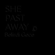 She Past Away: Belirdi Gece - Plak