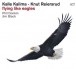 Flying Like Eagles - CD