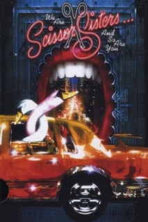 Scissor Sisters: We Are Scissor Sisters - DVD