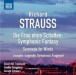 Strauss: Symphonic Fantasy on Die Frau ohne Schatten - Serenade, Op. 7 - Symphonic Fragment from Josephs Legende - CD