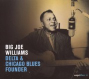 Big Joe Williams: Delta & Chicago Blues Founder - CD