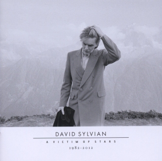 David Sylvian Plak, CD ve DVD Satın Al | Opus3a