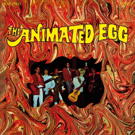 The Animated Egg - Plak