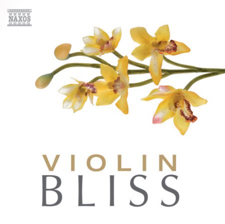 Çeşitli Sanatçılar: Violin Bliss - CD