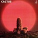 Cactus - Plak