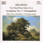 Christian Kohn, Silke-Thora Matthies: Brahms: Four-Hand Piano Music, Vol.  6 - CD