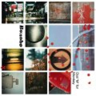 Bonobo: Dial 'M' For Monkey - Plak