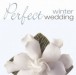 Perfect Winter Wedding - CD