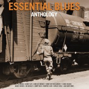 Çeşitli Sanatçılar: Essential Blues Anthology - Plak