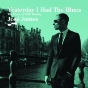 José James: Yesterday I Had The Blues - The Music of Billie Holiday (LP) - Plak