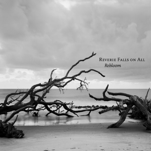 Reverie Falls On All - Rebloom