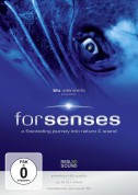 Blu::Elements Project: Forsenses - DVD