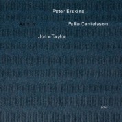 Peter Erskine Trio: As It Is - CD