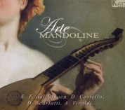 Juan Carlos Munoz, Mari Fe Pavon, Alla Tolkacheva, Manuel Munoz, Jean-DanielHaro, Jean-Christophe Leclere: Arte Mandoline - CD