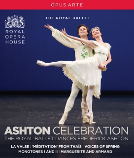 Ashton Celebration - BluRay