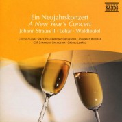 Çeşitli Sanatçılar: A New Year's Concert - CD