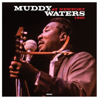 Muddy Waters At Newport 1960 - Plak