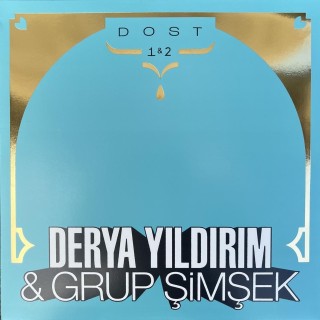Derya Yıldırım, Grup Şimşek: Dost 1 - 2 - Plak