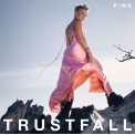 Pink: Trustfall (Super Deluxe Boxset) - CD