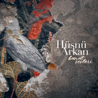 Hüsnü Arkan: Kanat Sesleri - Plak