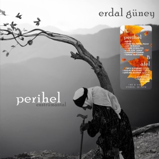 Erdal Güney: Perihel-Afel - Plak