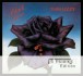 Black Rose: A Rock Legend - CD