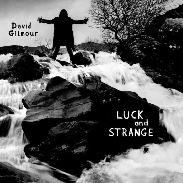 David Gilmour: Luck And Strange (Black Vinyl) - Plak Foto #1