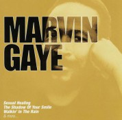 Marvin Gaye: Collections - CD