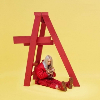 Billie Eilish: Don't Smile at Me - CD