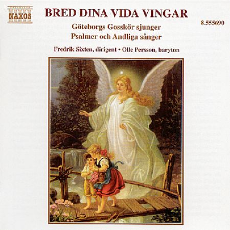BRED DINA VIDA VINGAR - CD