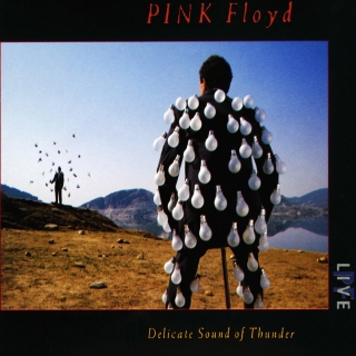 Pink Floyd: Delicate Sound of Thunder: Live - Plak