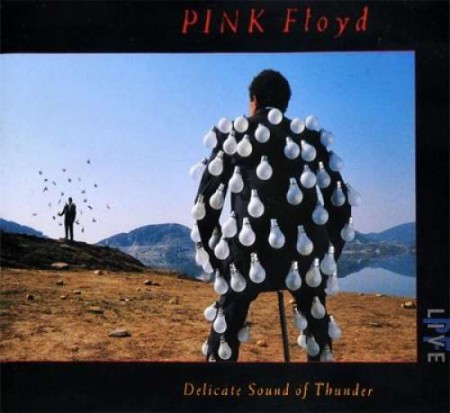 Pink Floyd: Delicate Sound of Thunder: Live - Plak