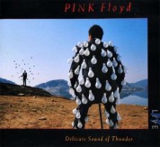 Pink Floyd: Delicate Sound of Thunder: Live - Plak