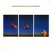 Rainer Brüninghaus, Kenny Wheeler, Jon Christensen, Brynjar Hoff: Freigeweht (Luminessence Series) - Plak