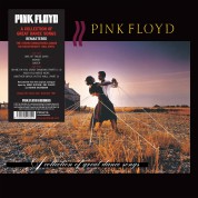 Pink Floyd: A Collection Of Great Dance Songs - Plak