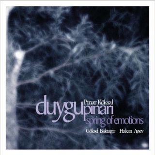 Göksel Baktagir, Hakan Aysev, Pınar Köksal: Duygu Pınarı - CD